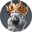 riccardo_bg