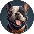 Luca_Napoli